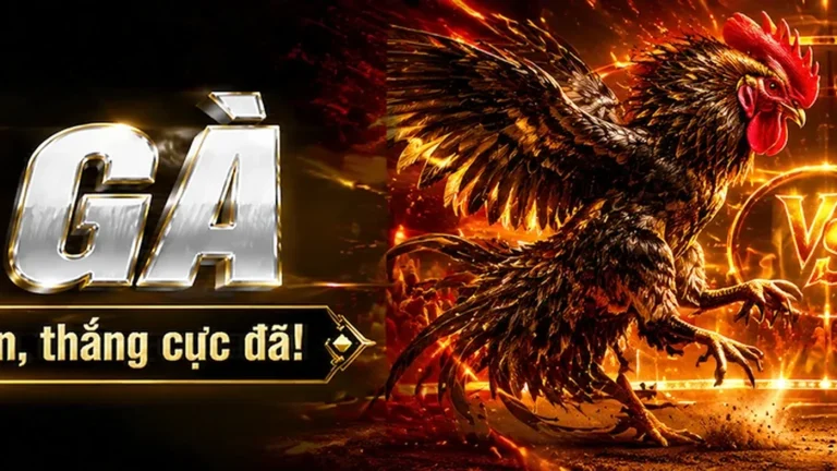 JIN88 – Tổng quan về Cài đặt: phạm vi thông tin và cách bắt đầu tra cứu – JIN88