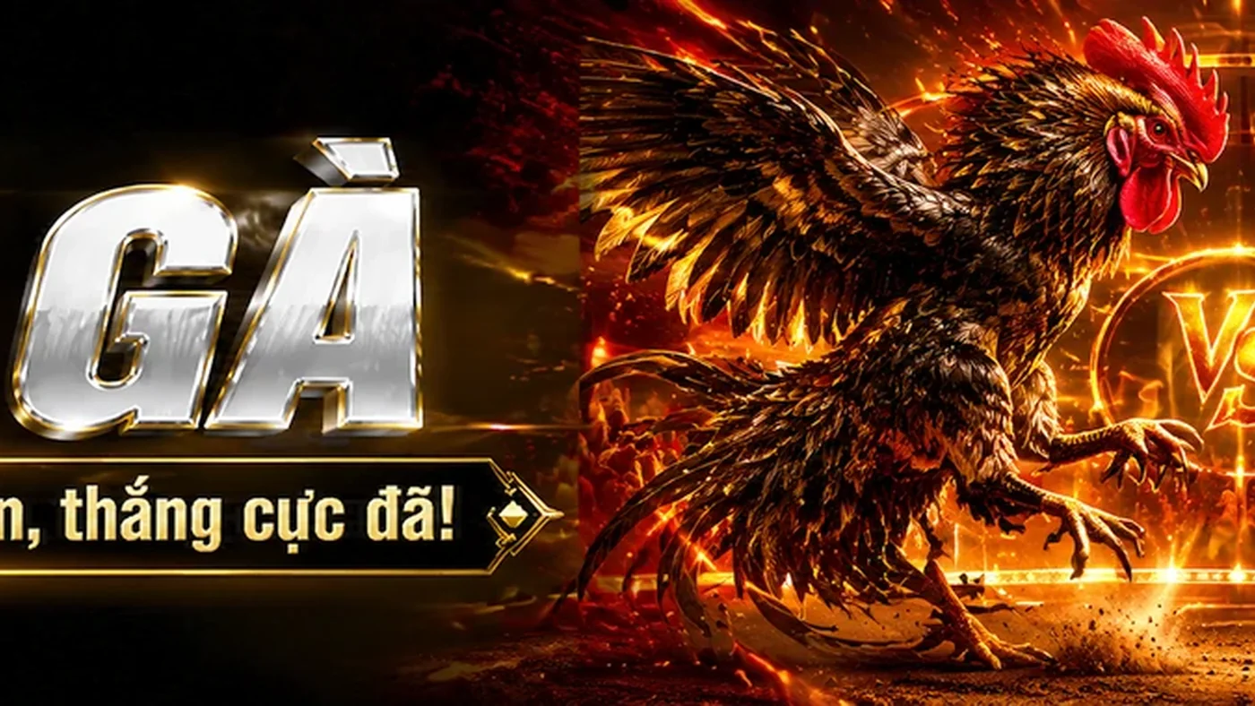JIN88 – Tổng quan về Cài đặt: phạm vi thông tin và cách bắt đầu tra cứu – JIN88