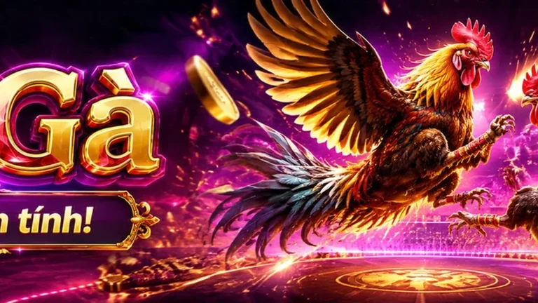 JIN88 – Cách đối chiếu nguồn, thời điểm cập nhật và giới hạn của Ứng dụng JIN88 – JIN88